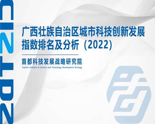 欧美老妇插【成果发布】广西壮族自治区城市科技创新发展指数排名及分析（2022）